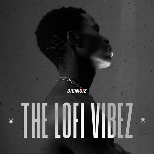 Diginoiz The Lofi Vibez WAV