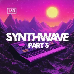 Bingoshakerz Synthwave 3 WAV MIDI REX