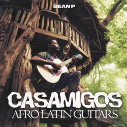 Sean P CASAMIGOS - Afro Latin Guitars WAV