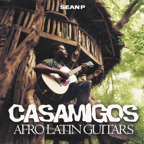 Sean P CASAMIGOS - Afro Latin Guitars WAV