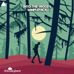 The Audio Bar Into The Woods WAV