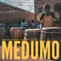 T-kid The Producer MEDUMO - Amapiano Drums, Log Drums, & One Shots WAV