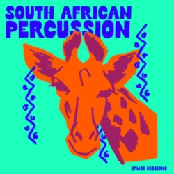 Splice Sessions South African Percussion WAV