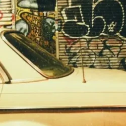 Gibberish Samples Gritty Sample Pack WAV