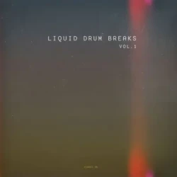 Echoes08 Studio Liquid Drum Breaks Sample Pack WAV
