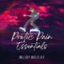 Bino Beats Poetic Pain Essentials Melody Multi-Kit WAV MIDI