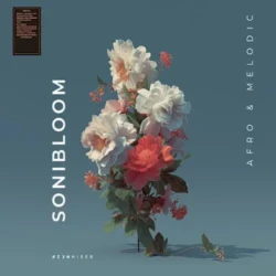 Zenhiser Sonibloom WAV