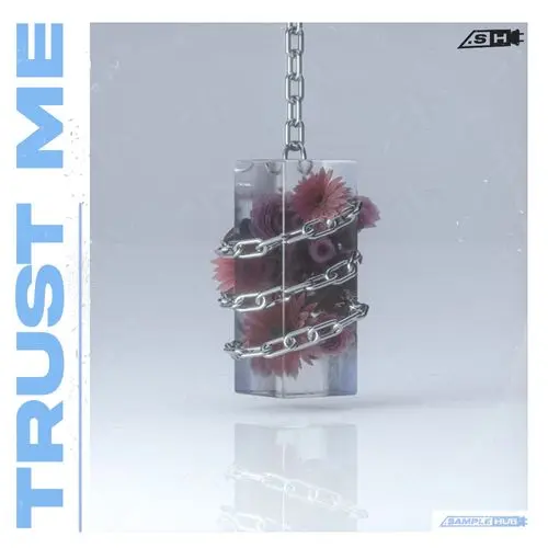 Sample Hub Trust Me WAV MIDI