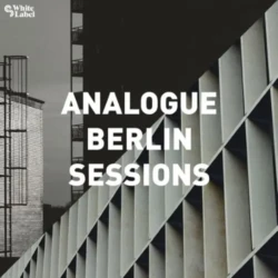 Sample Magic Analogue Berlin Sessions WAV