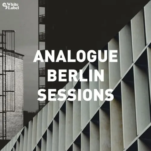 Sample Magic Analogue Berlin Sessions WAV