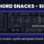 Meat Beats Chord Snacks SHA WAV