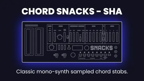 Meat Beats Chord Snacks SHA WAV