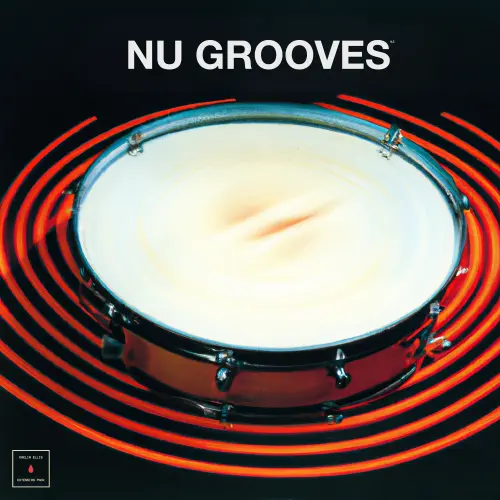 Kaelin Ellis Expansion Pack: Nu Grooves WAV
