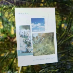 Colorless Studio Awake Poetry Texture Pack Vol.1 WAV MIDI