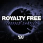 Big Citi Loops Royaltyfree Chopped Samples WAV