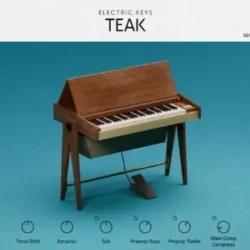 Native Instruments Electric Keys: Teak v1.0 KONTAKT