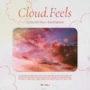 Renraku cloud.feels - Eclectic Soul Aesthetics WAV