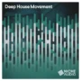 Niche Audio Deep House Movement MULTIFORMAT