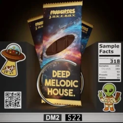 Munchies Jukebox Deep Melodic House Sample Pack Vol.2 [WAV MIDI SERUM 2 PRESETS]