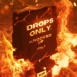 XLNT Drops Only Knocked Up Vol.1 (Serum 2 Presets)