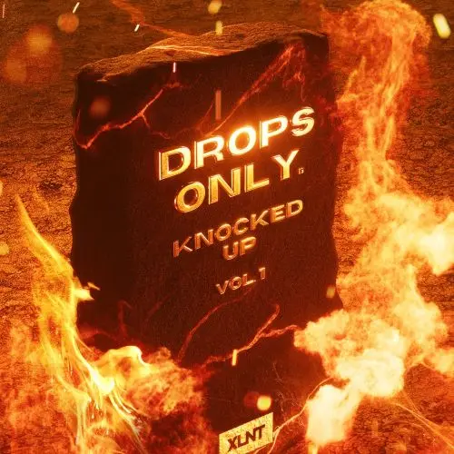 XLNT Drops Only Knocked Up Vol.1 (Serum 2 Presets)