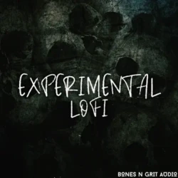 Bones N Grit Audio Experimental Lofi WAV