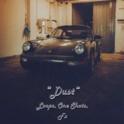 Gibberish Samples Dust WAV