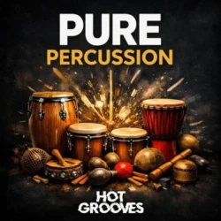 Hot Grooves Pure Percussion Sample Pack WAV