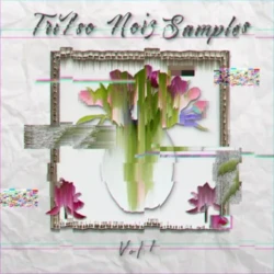 TriIso Noiz Samples Vol.1 WAV FXP