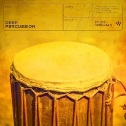 Splice Originals Deep Percussion WAV