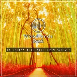 Woodlands Sounds Iglesias Authentic Drum Grooves WAV