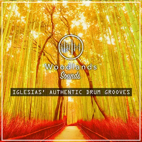 Woodlands Sounds Iglesias Authentic Drum Grooves WAV