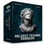 Sample Agency Melodic Techno Paradox [WAV MIDI SERUM 2 PRESETS]