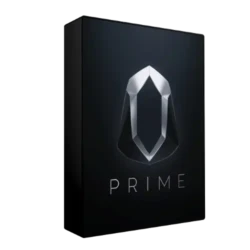 Savage Sounds PRIME - Progressive House Serum 2 Presets