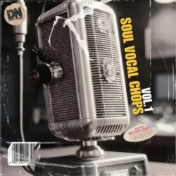 Dusty Notes Soul Vocal Chops Vol.1 WAV