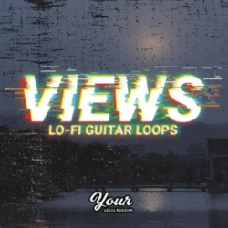 Your Local Musician Views (Ambient Guitar Loops) WAV