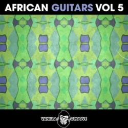 Vanilla Groove Studios African Guitars Vol 5 WAV