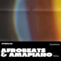 Afroplug Afrobeats & Amapiano Essentials WAV