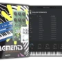 Relooped Analog Fragments [Analog Lab Preset Bank]