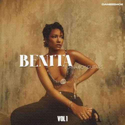Daneemoe BENITA_ Burna Boy Guitars Vol. 1 WAV