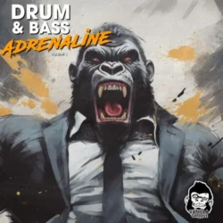 Vanilla Groove Studios Drum & Bass Adrenaline Vol 1 WAV