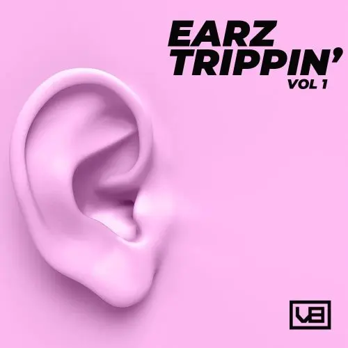 Vb Got Heat Earz Trippin WAV MIDI