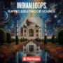 Thaloops Indian Loops WAV