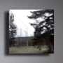 Xero's Alt Rock x Shoegaze Sound Kit WAV