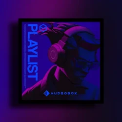Audeobox Playlist WAV