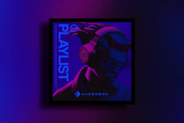 Audeobox Playlist WAV