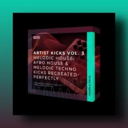 Basic Wavez Artist Kicks Vol.3 WAV