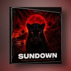 Cymatics VAULT SUNDOWN (Reggaeton Pack) WAV MIDI