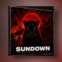 Cymatics VAULT SUNDOWN (Reggaeton Pack) WAV MIDI