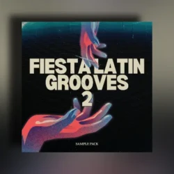 Diego Bustamante Fiesta Latin Grooves Vol.2 WAV